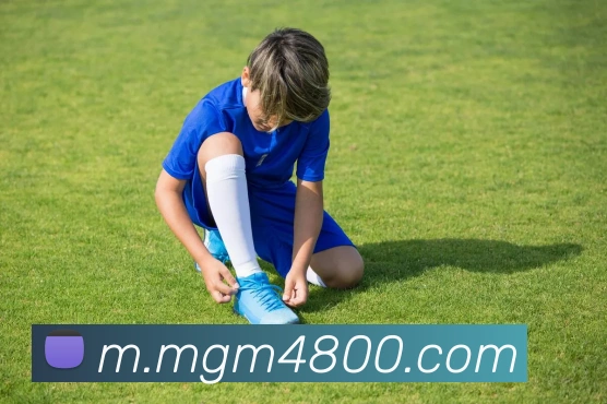 美高梅官网APP 封面图