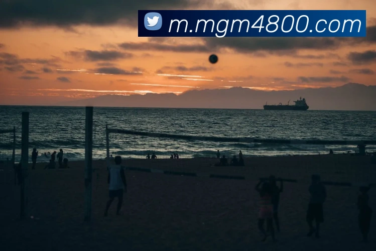 数据防护可视化